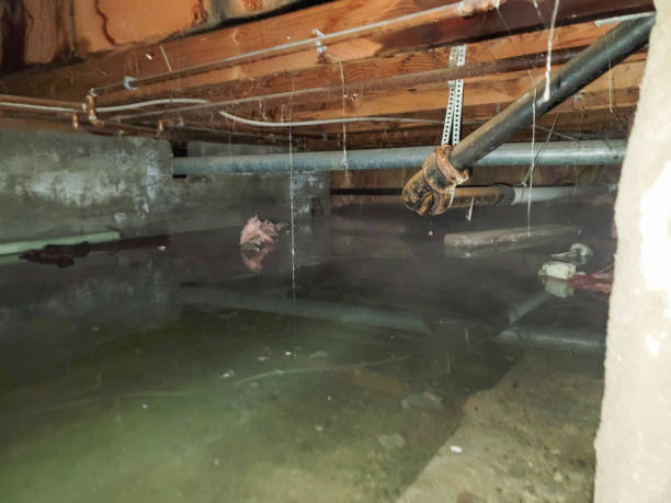 Local water damage restoration in Tracy, CA