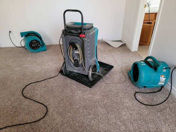 Water damage restoration mold remediation in Tracy, CA