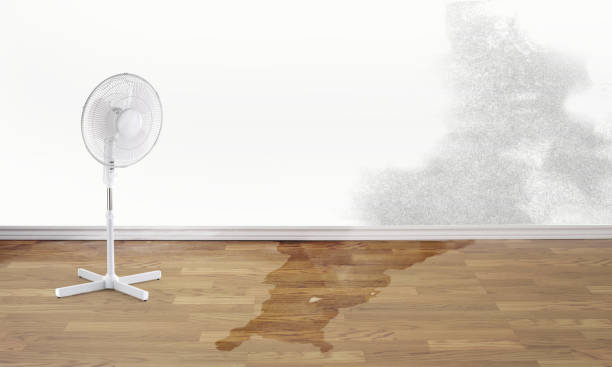 Best Water damage contractors near me  in Tracy, CA