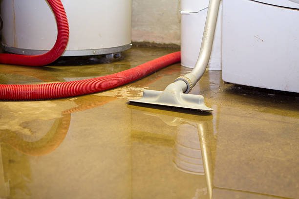 Best Mold removal after water damage  in Tracy, CA