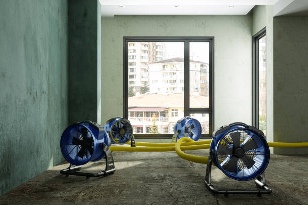 Best Carpet water damage restoration  in Tracy, CA